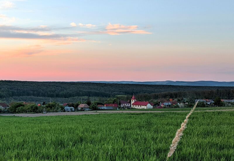 ملف:Foglas deal.jpg