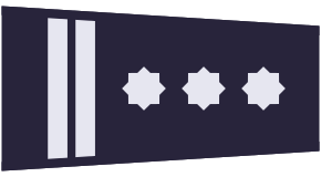 ملف:PL policja 1995 insp.svg
