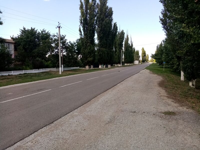 ملف:PshenichnoeNiz 24.jpg