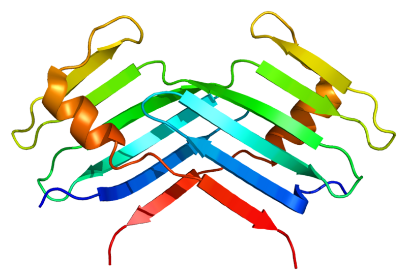 ملف:Protein PLK4 PDB 1mby.png