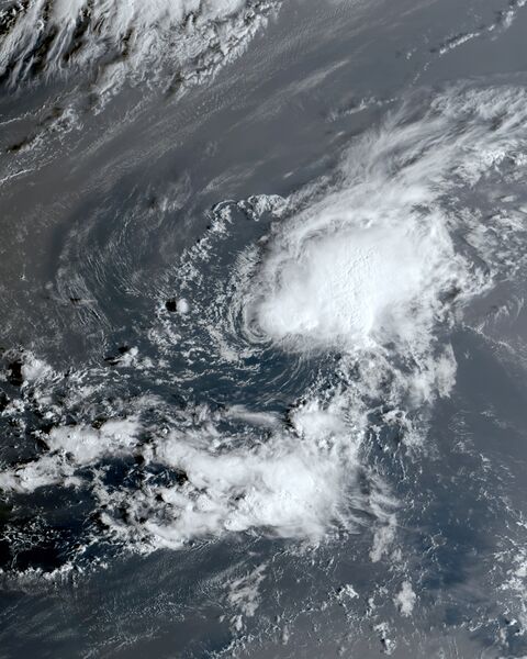 ملف:Sean 2023-10-13 1030Z.jpg