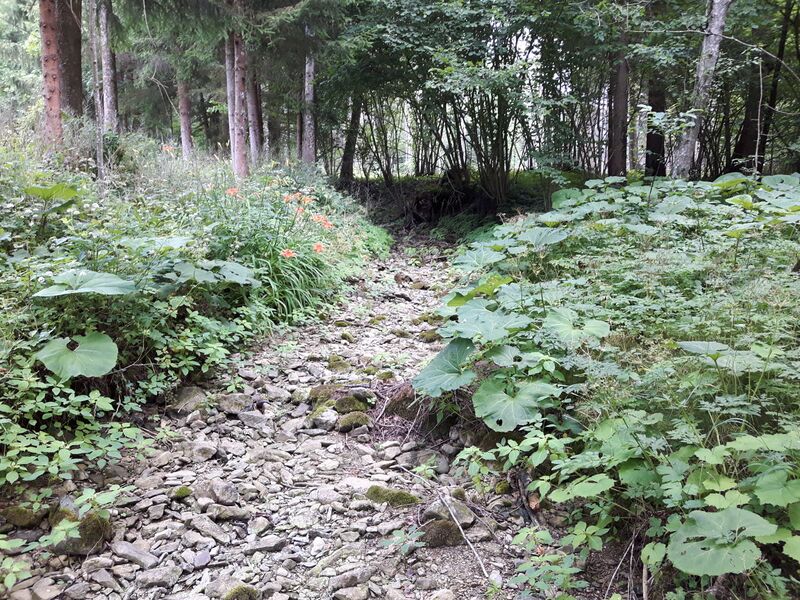 ملف:St. Pankrazenbach trocken.jpg