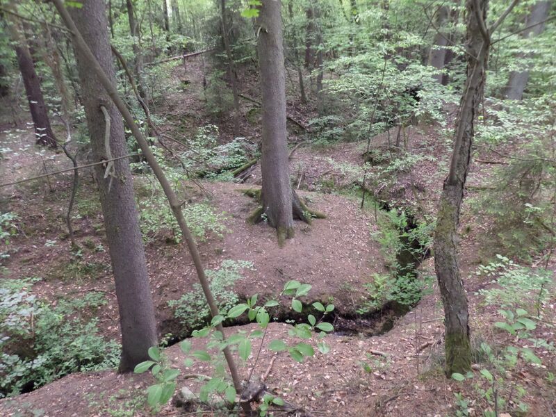 ملف:Tiefgraben (Erlenstegen) SAM 5482.JPG