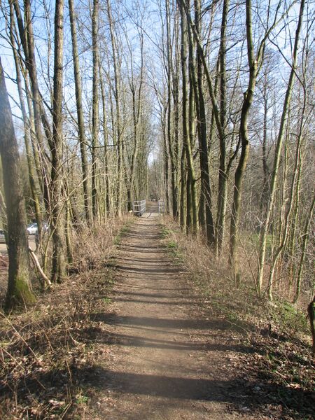 ملف:Wilsdruff-Gärtitz Trasse bei Polenz.JPG