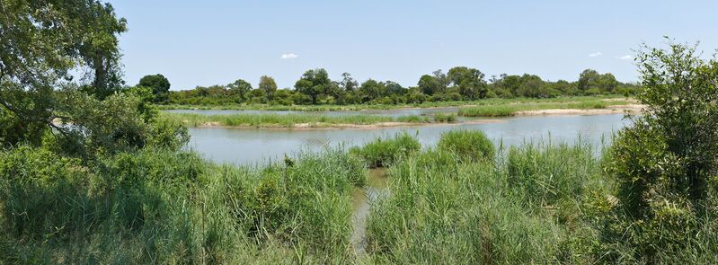 ملف:Timbavati River (16691140904).jpg