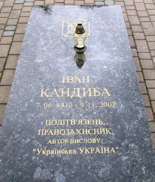 ملف:Ivan Kandyba.jpg
