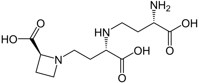 ملف:Nicotianamine.PNG