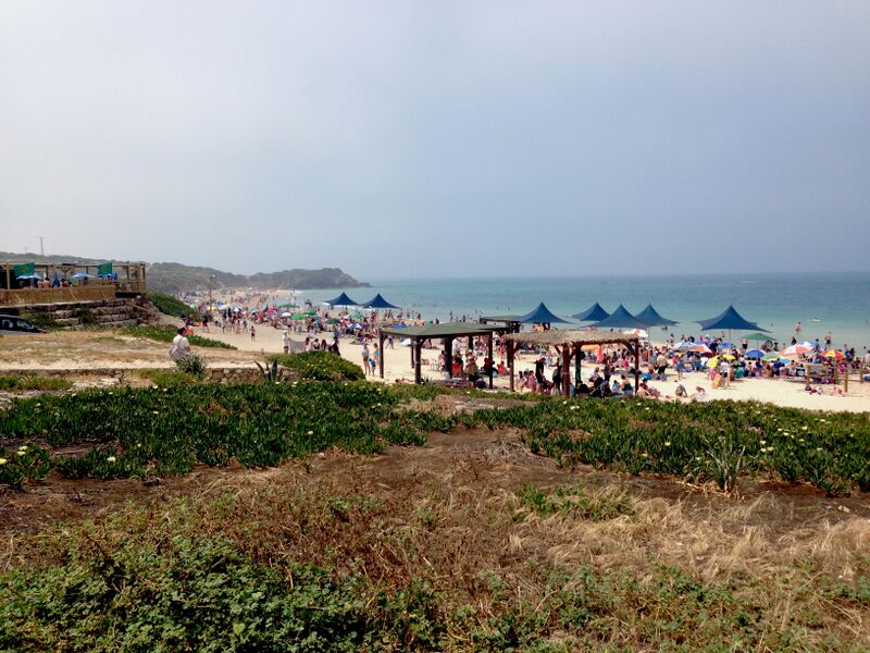 ملف:Palmachim beach(7).jpg