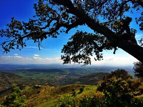 Parc National Djurdjura, Bouira, Algerie " une vue sur l'horizon, wilaya de bouira".jpg