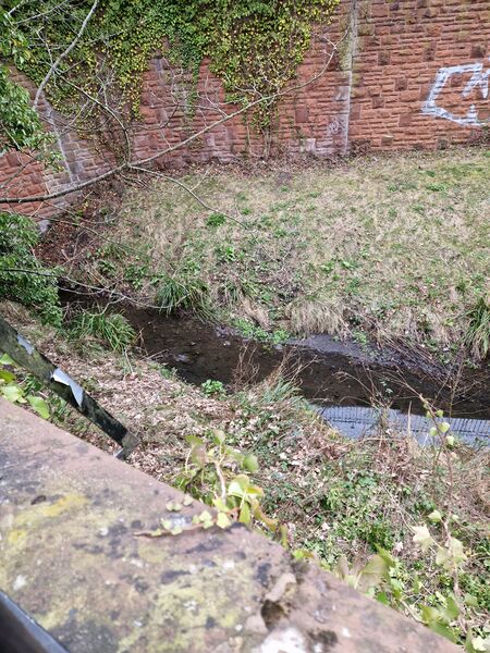 ملف:River Jordan 2.jpg