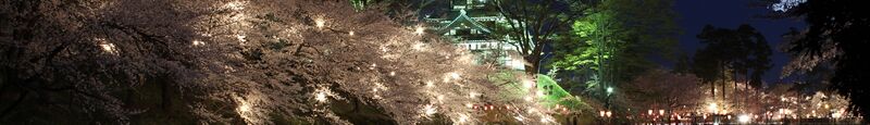 ملف:Takada castle Cherry-blossom viewing.jpg