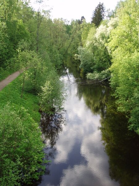 ملف:Tourujoki jlk finland.jpg