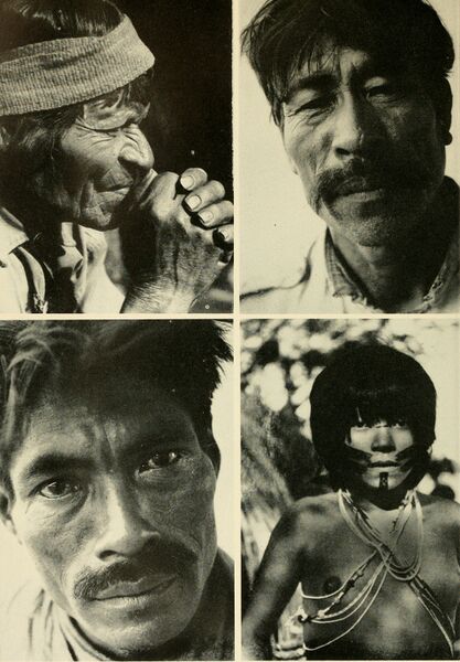 ملف:Bulletin (1946) (20426628305).jpg