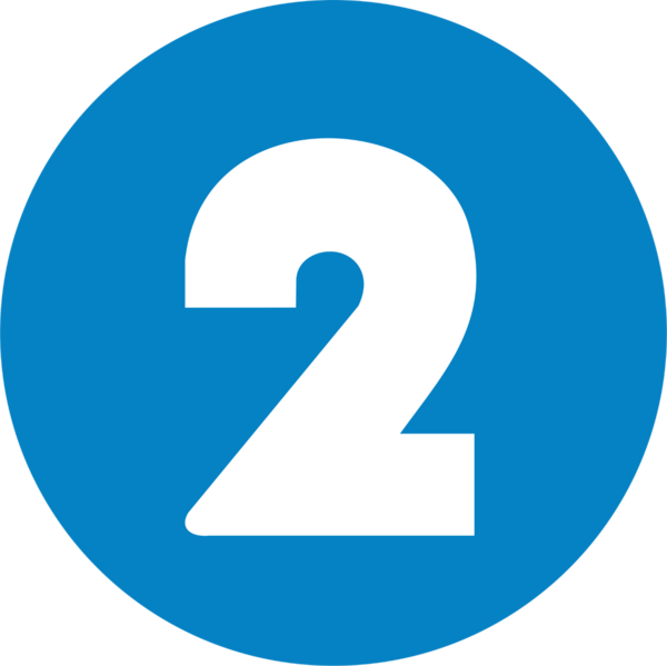 ملف:Canal 2 TCS.png