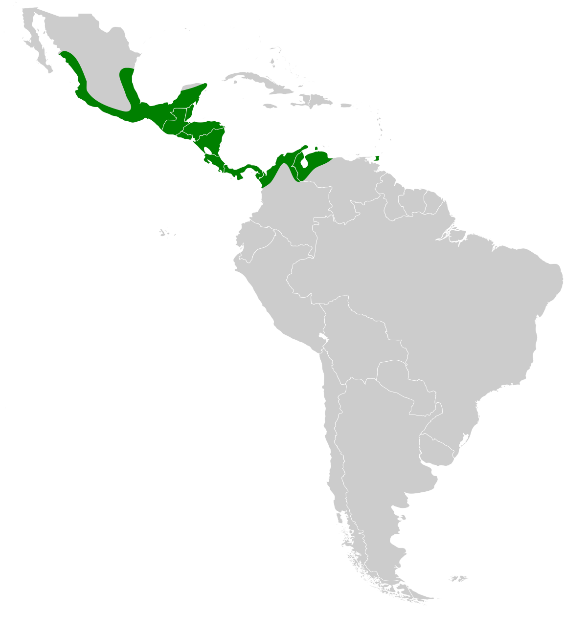 ملف:Centurio senex map.svg - المعرفة
