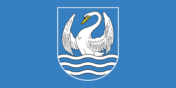 ملف:Flag of Miory.svg