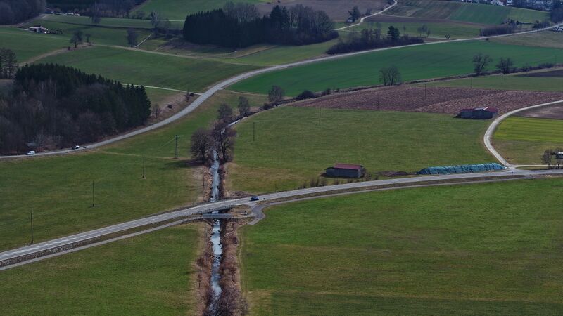 ملف:Hasel bei Mindelrieder Paradies.jpg