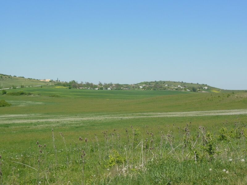 ملف:Pasechnoe 5.JPG