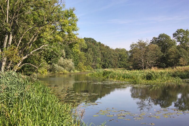 ملف:Råån 2009-09-08.jpg