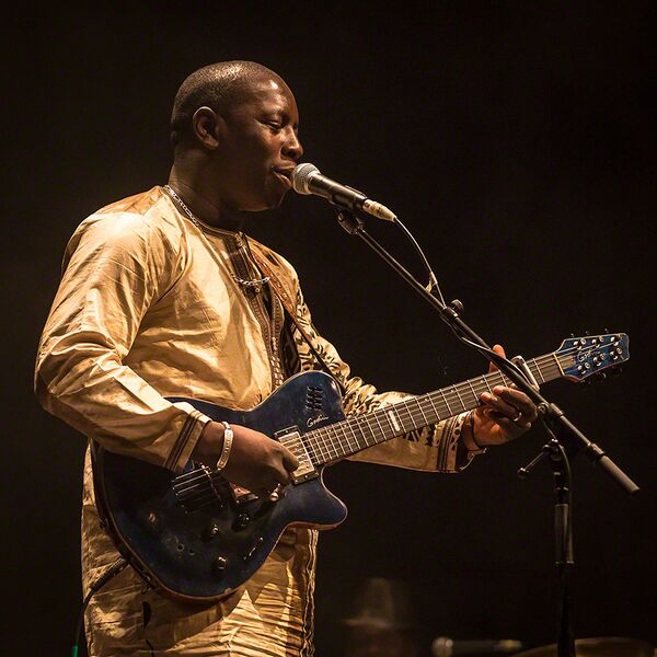 ملف:Vieux Farka Touré (211955).jpg