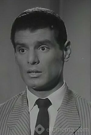 عادل هيكل.jpg