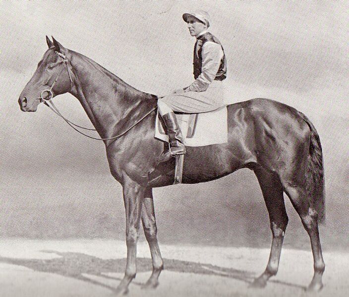 ملف:Mid-day sun.jpg