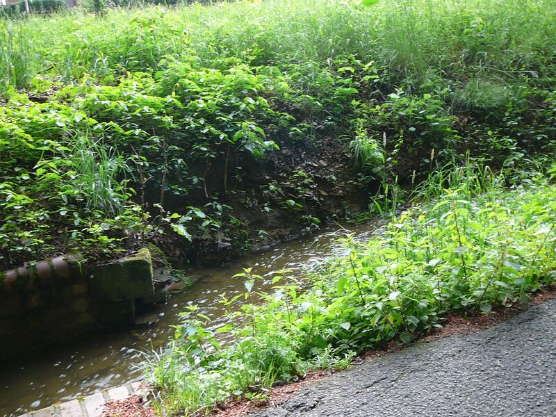 ملف:Wuppertal Lüntenbeck 0001.jpg