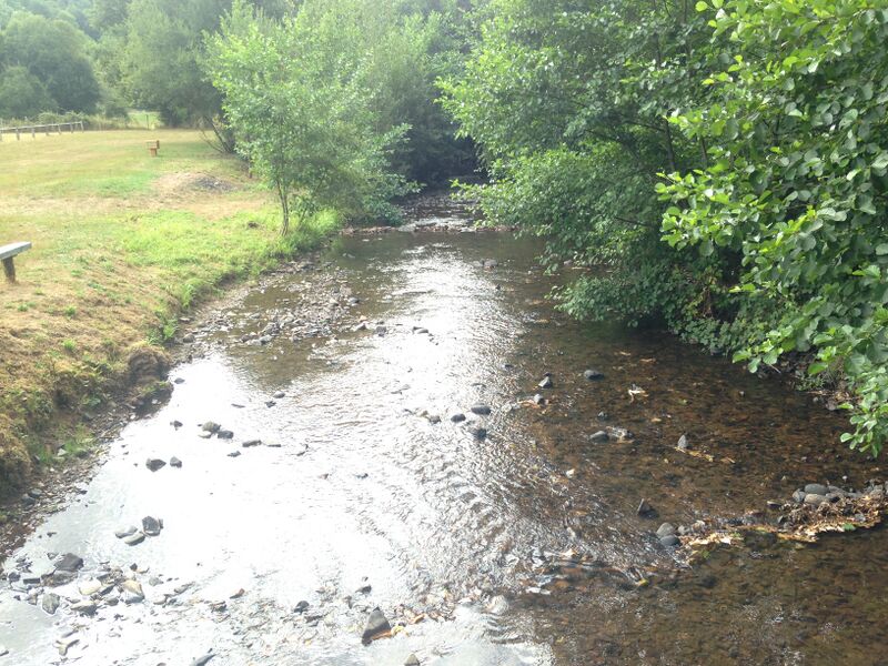 ملف:La Souvigne.JPG