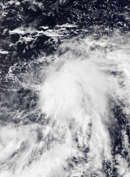 ملف:Nando 2021-10-08 0127Z.jpg