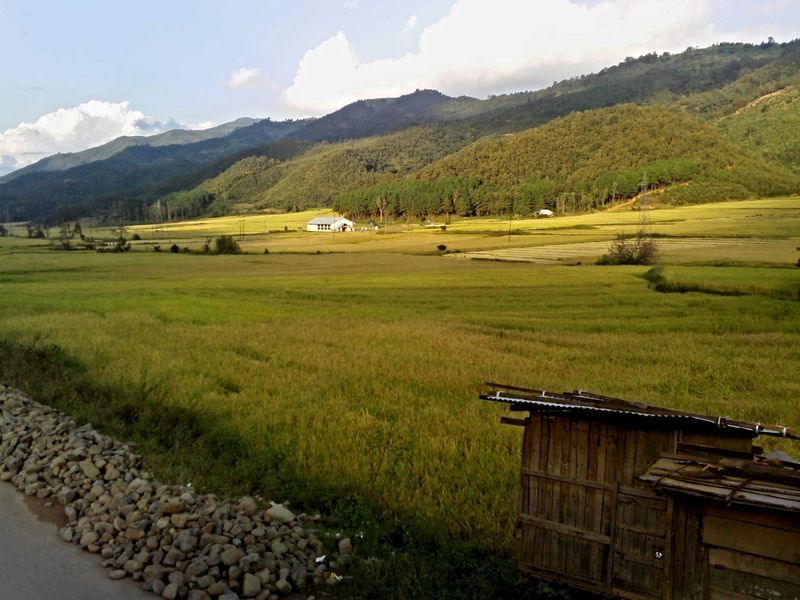 ملف:Paddy fields manipur.jpg
