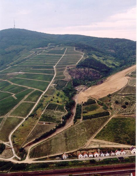 ملف:Tokaj - Hegyalja-06.jpg