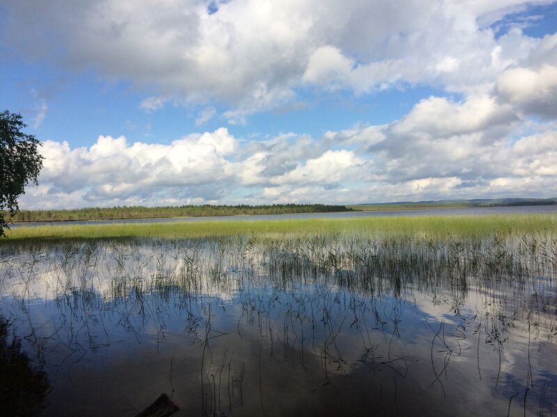 ملف:Муй (озеро) 1.jpg