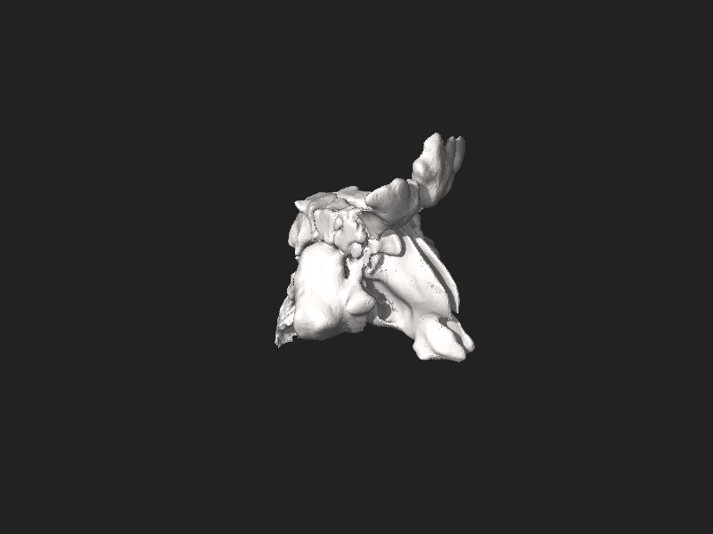 ملف:3DPX-002305 Upper respiratory cast 3DFile Nevit Dilmen.stl