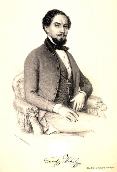 ملف:Füredi Mihály.jpg