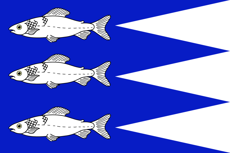 ملف:Flag of Aš, Cheb.svg