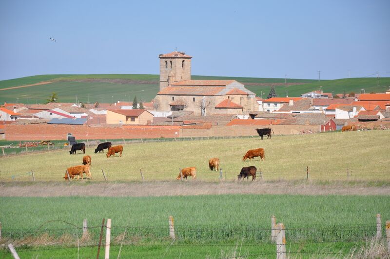 ملف:Mancera de Abajo.jpg