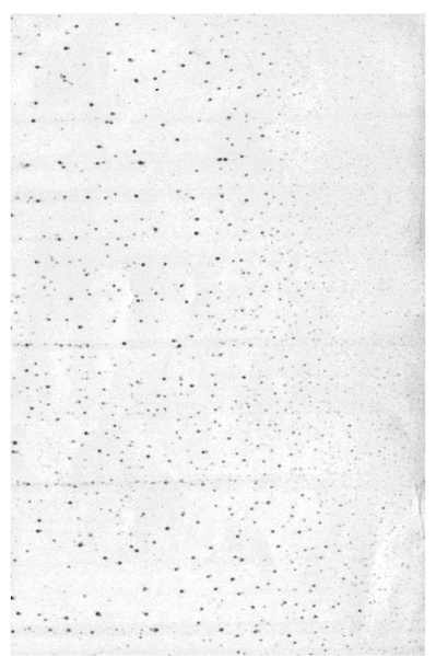 ملف:Règle du Jeu d'Échecs de la F.I.D.E. 1930.pdf