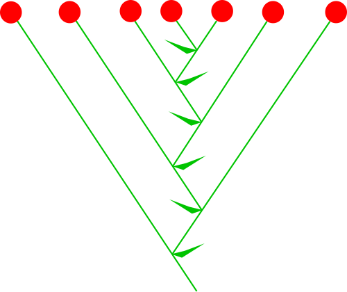 ملف:Inflorescences Kwiatostan Wachlarzyk.svg