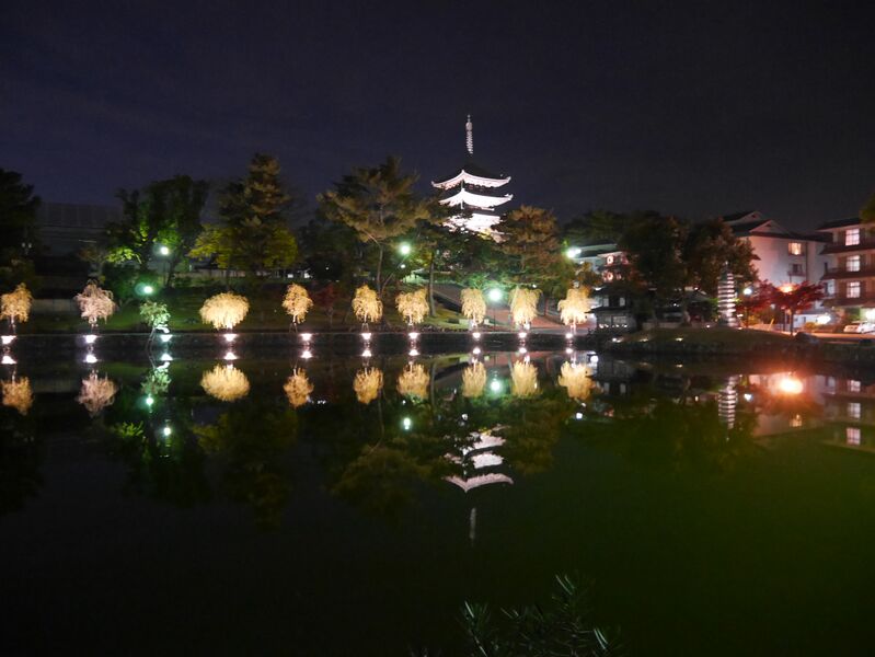 ملف:Sarusawaike 01.jpg