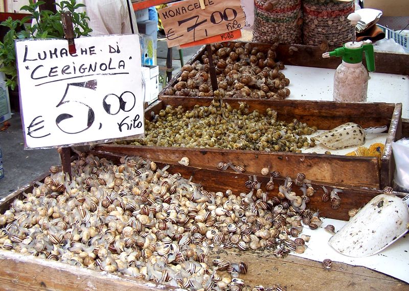 ملف:Snails-Italy.jpg