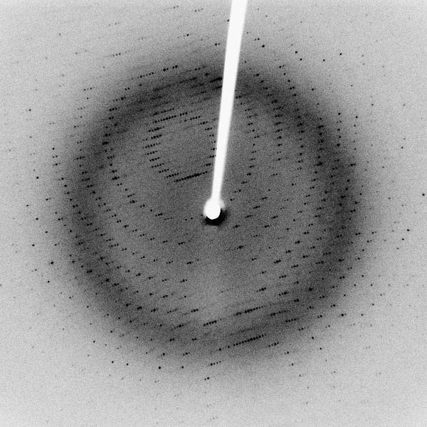 ملف:X-ray diffraction pattern 3clpro.jpg