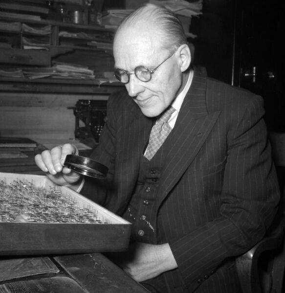 ملف:Hjalmar Thorwald Grönblom.jpg