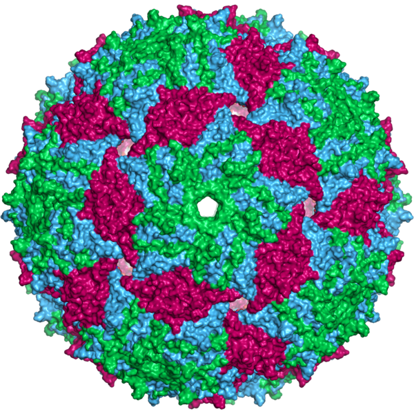 ملف:Ms2capsid surface.png