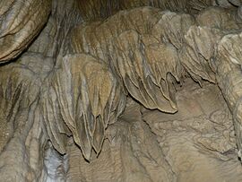 Oregon Caves p1080458 1024.jpg