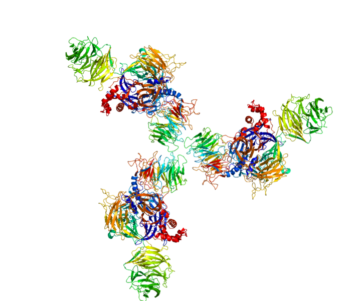 ملف:Protein DDB2 PDB 3EI4.png