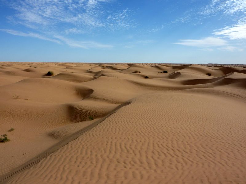 ملف:Sahara 3.jpg
