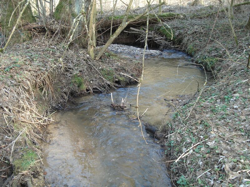 ملف:Steinbach (Reichenbach).JPG