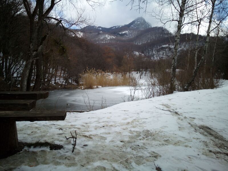 ملف:Demerdji pond 2.jpg