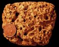 Numerous borings in a Cretaceous cobble, Faringdon, England; see Wilson (1986).