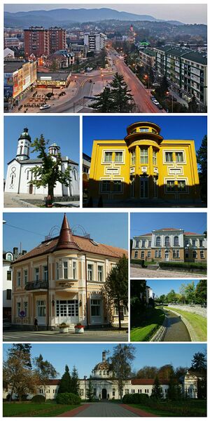 ملف:Loznica collage.jpg